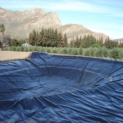 Geomembranes PVC LDPE HDPE Fish Pond Liner Dam Liner Length 50-200m Thickness 0.3mm-2.8mm